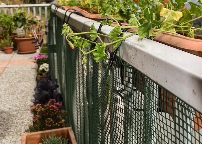 شقة Casa Di Spino